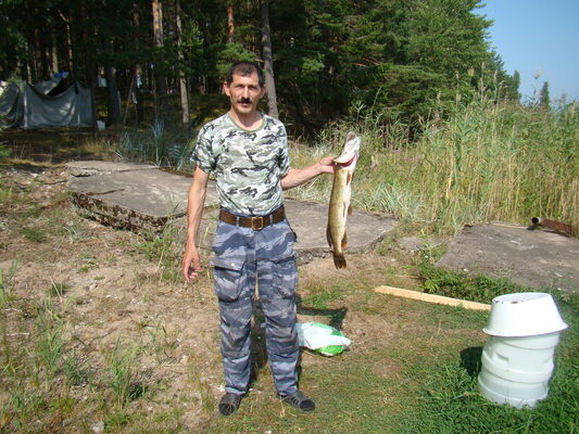  ,   Aleksand1965, 59 ,  