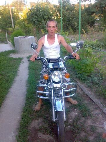  17974676  , 49 ,    