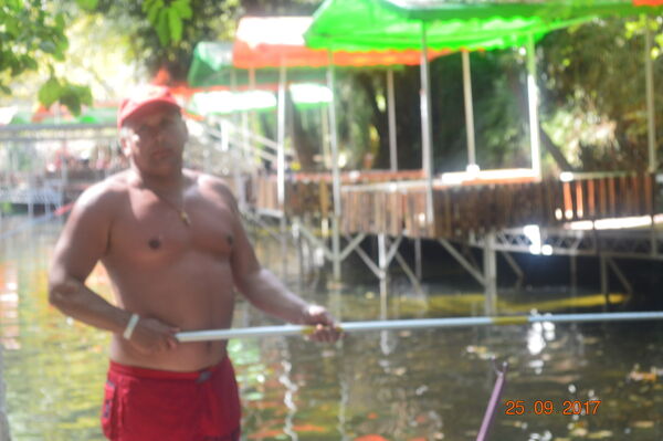  ,   , 53 ,   
