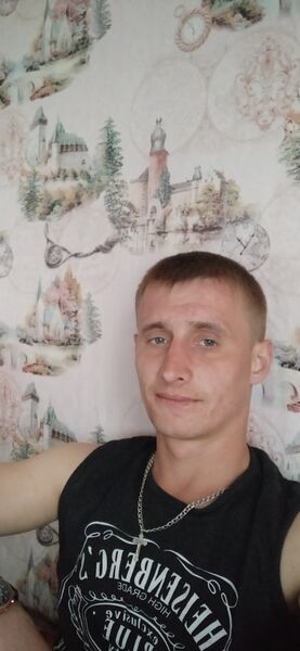  --,   , 31 ,   ,   , c , 