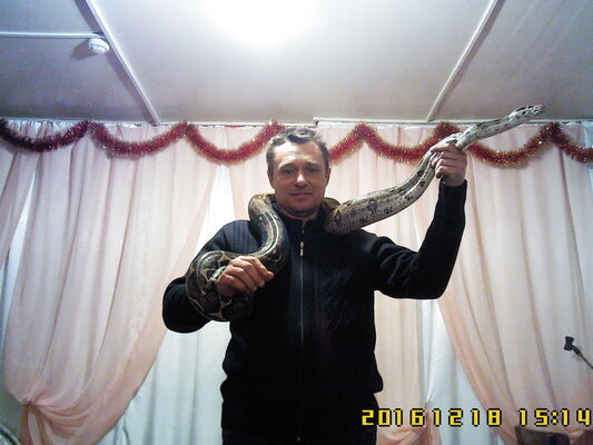  ,   , 56 ,     , c 