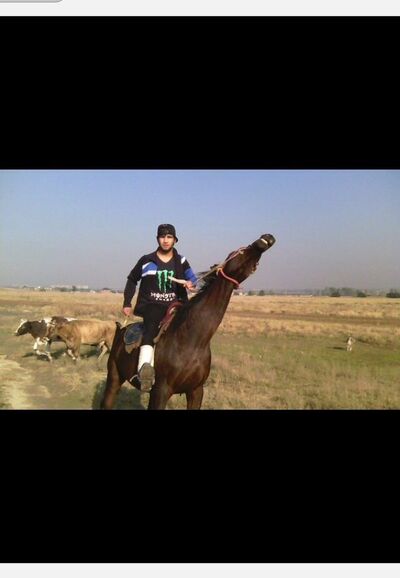  ,   Amir, 32 ,   ,   , c 