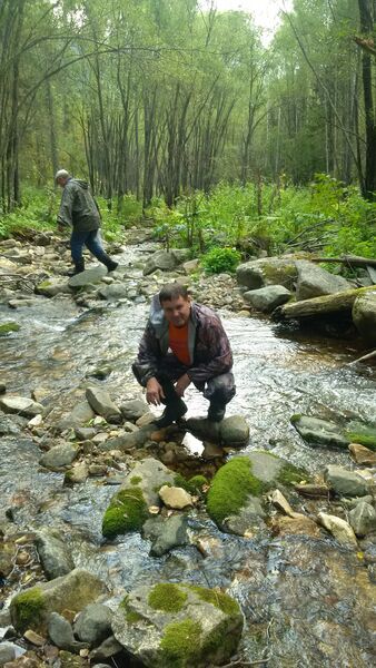  ,   , 54 ,   ,   , c , 