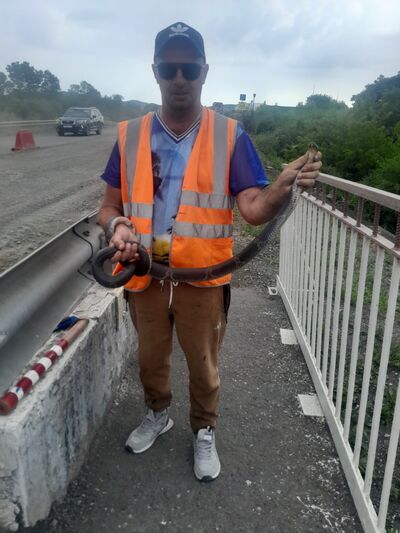  -,   , 40 ,   ,   