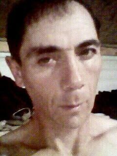  8727436  Betik, 50 ,    