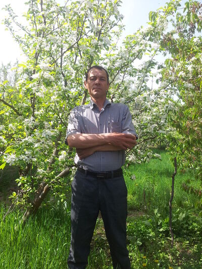  ,   Samandar, 50 ,  