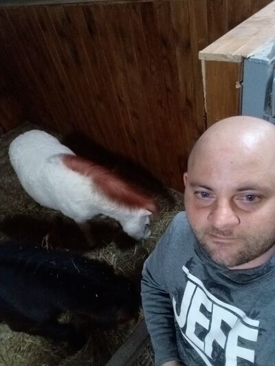  ,   , 32 ,   ,   