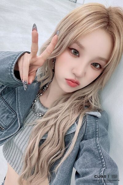  Pusan,   , 19 ,   ,   