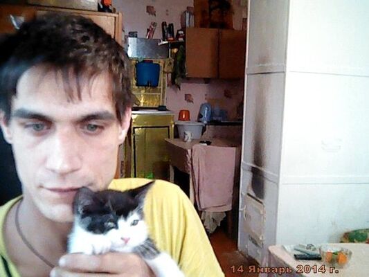  ,   , 41 ,   