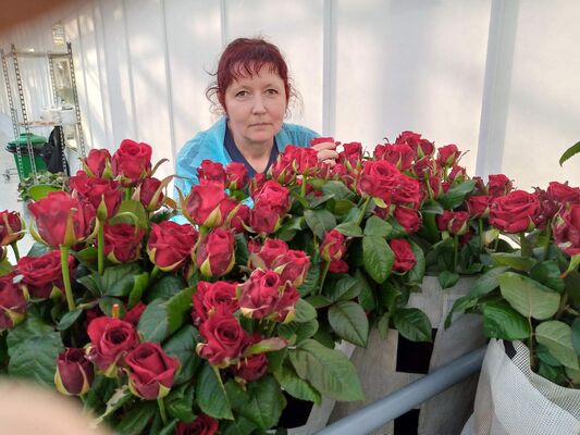  ,   , 55 ,   