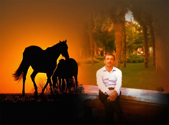  ,   Rovshan, 47 ,   ,   , c 