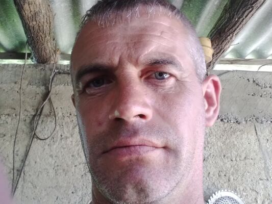  ,   , 41 ,     , c 
