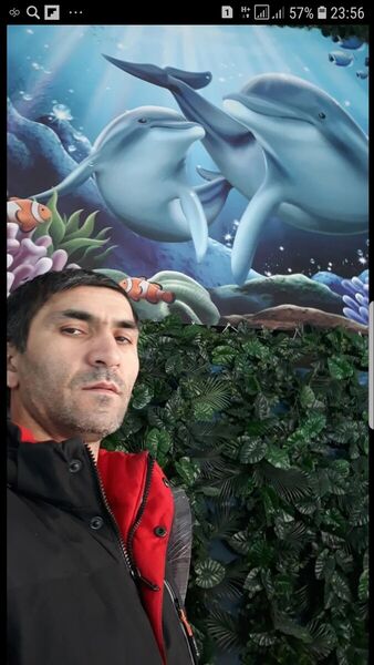  ,   , 41 ,     , c , 