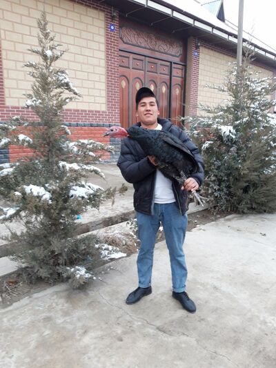  ,   MansuMansur, 23 ,   ,   