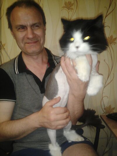  ,   , 53 ,   