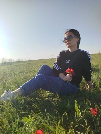  --,   , 43 ,   ,   