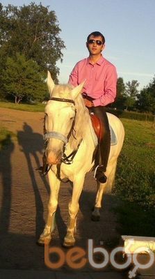  3632746  , 36 ,    -