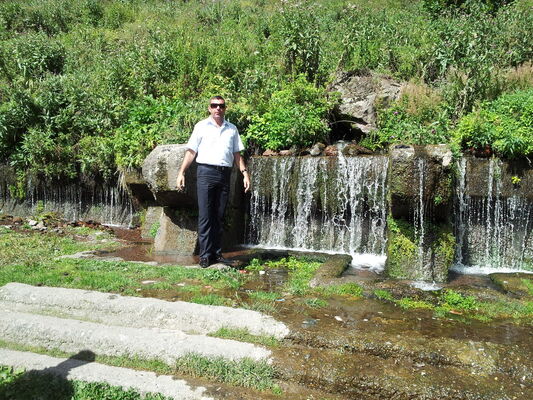  ,   AVO94635211, 47 ,   