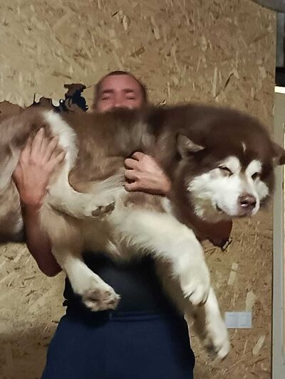  ,   , 44 ,   ,   , c , 