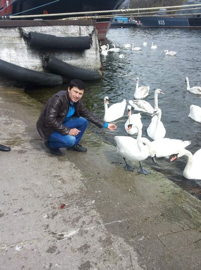 ,   Bahodir, 32 ,   ,   , c 