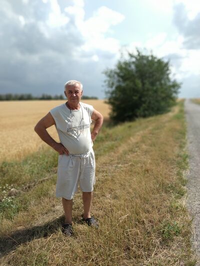  ,   , 74 ,   ,   