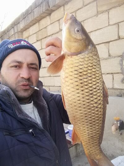  ,   , 37 ,   c 