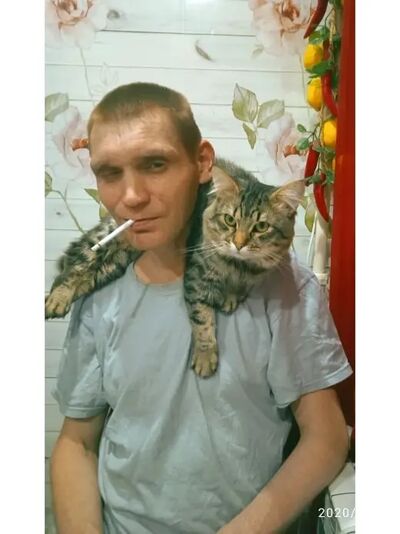  -,   , 50 ,   ,   