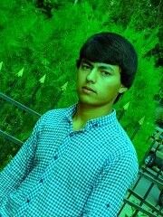 ���������� �������, ���� ������� C����, 36 ���, ������������ ��� ������, ����� � ���������, c�������� ���������