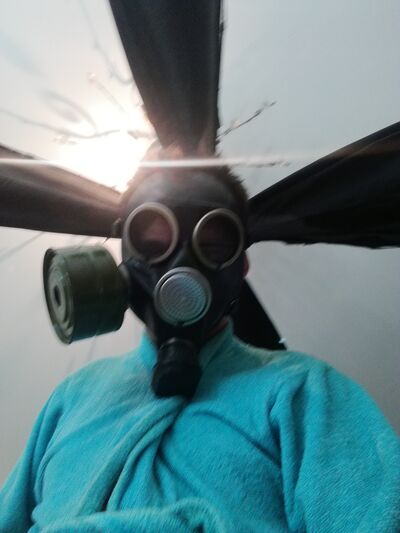  ,   Misha, 37 ,   , c 