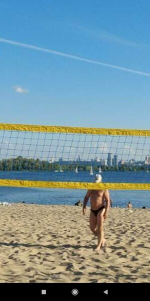  ,   Wild Bear, 45 ,   ,   