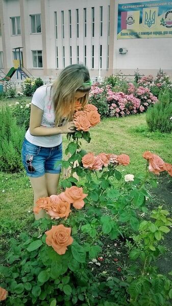   ,   , 22 ,   ,   , c 