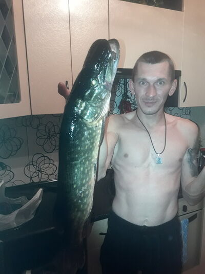  ,   , 38 ,  