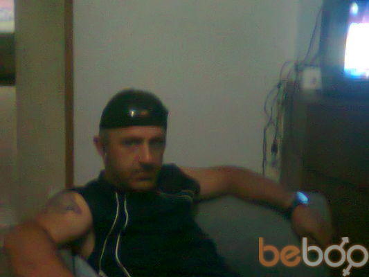  ,   Koko, 49 ,   ,   , c 