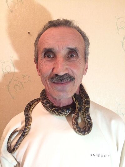  ,   ZaurMangust, 65 ,   ,   