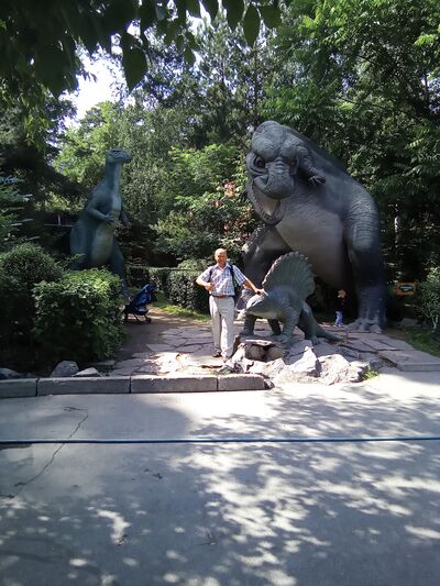  ,   , 54 ,     , c 