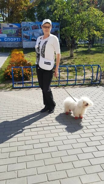  ,   , 55 ,   ,   , c , 