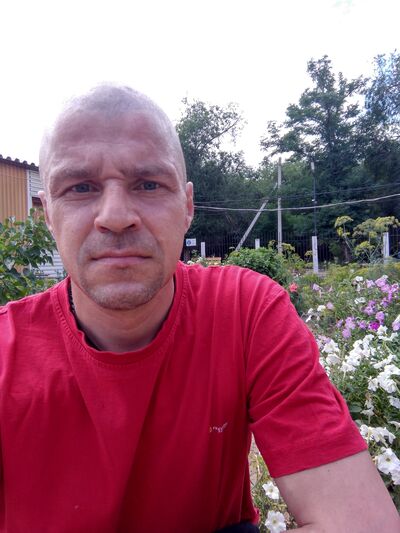  ,   , 46 ,   ,   , 