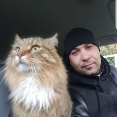  ,   , 40 ,   ,   