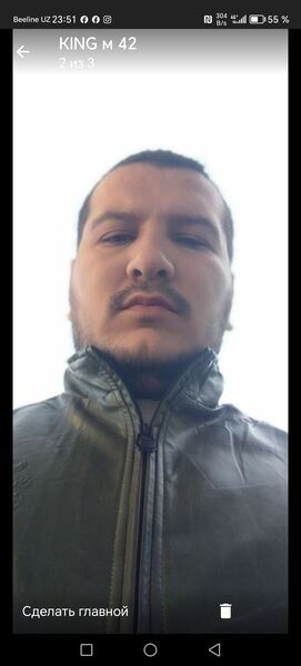  ,   WOLF, 31 ,   ,   