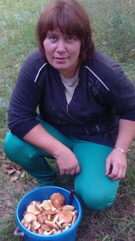  ,   , 49 ,  