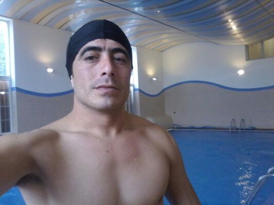  ,   Famil, 41 ,   