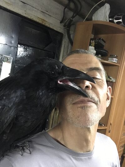  ,   , 48 ,   c 