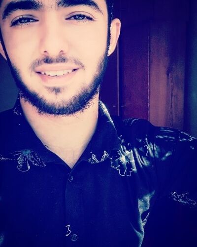  ,   Faik, 31 ,   ,   , c 