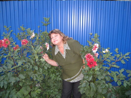  ,   , 65 ,   c 