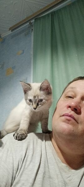  ,   , 50 ,   