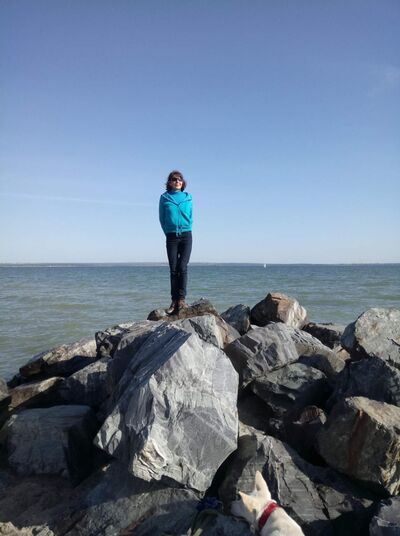  ,   , 61 ,  