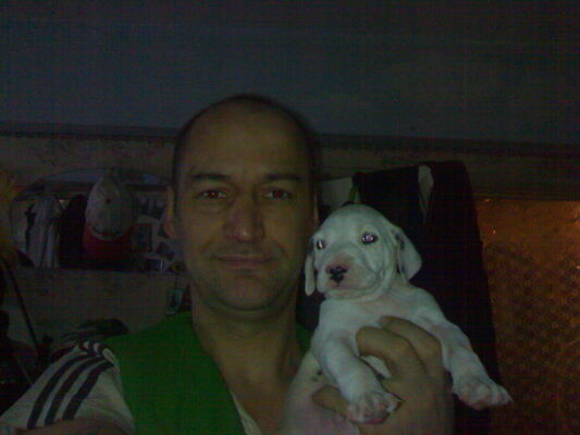  ,   , 43 ,   ,   , c , 