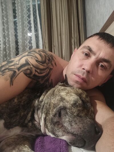  ,   , 41 ,   ,   