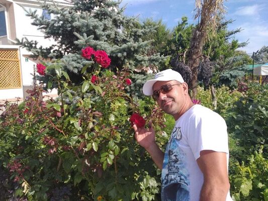  ,   , 41 ,   ,   , c 