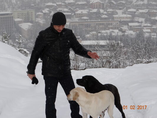  ,   Vseprosto, 44 ,  